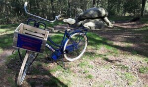 requal-leenfiets